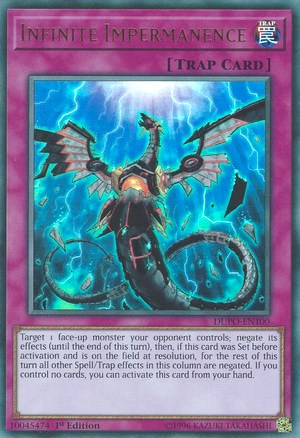 Infinite Impermanence